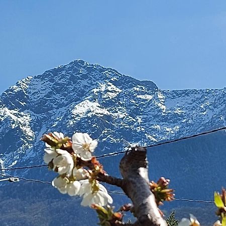 Villa Sole Колико Екстериор снимка